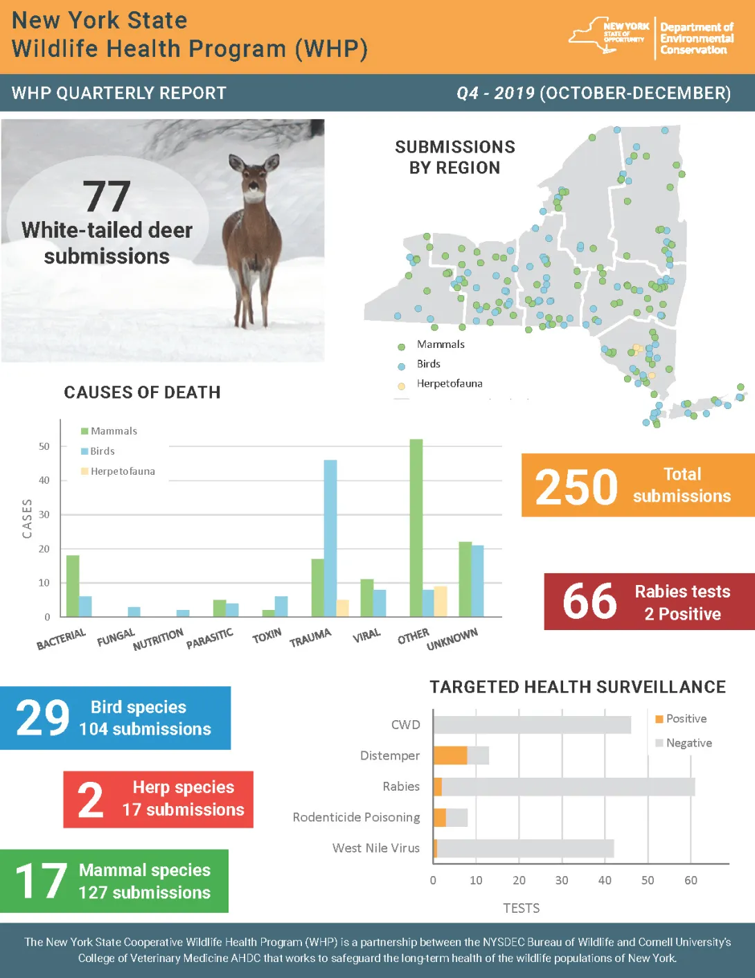 Thumbnail of NYS WHP Quarterly Report Q4 2019
