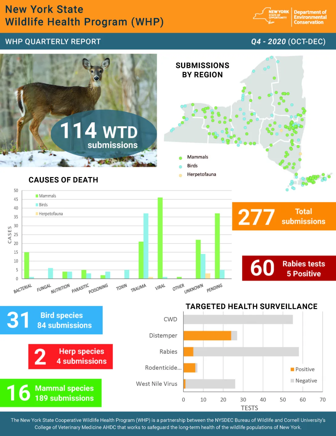 Thumbnail of NYS WHP Quarterly Report Q4 2020