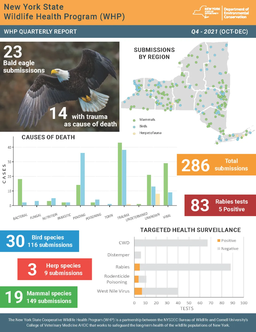 Thumbnail of NYS WHP Quarterly Report Q4 2021