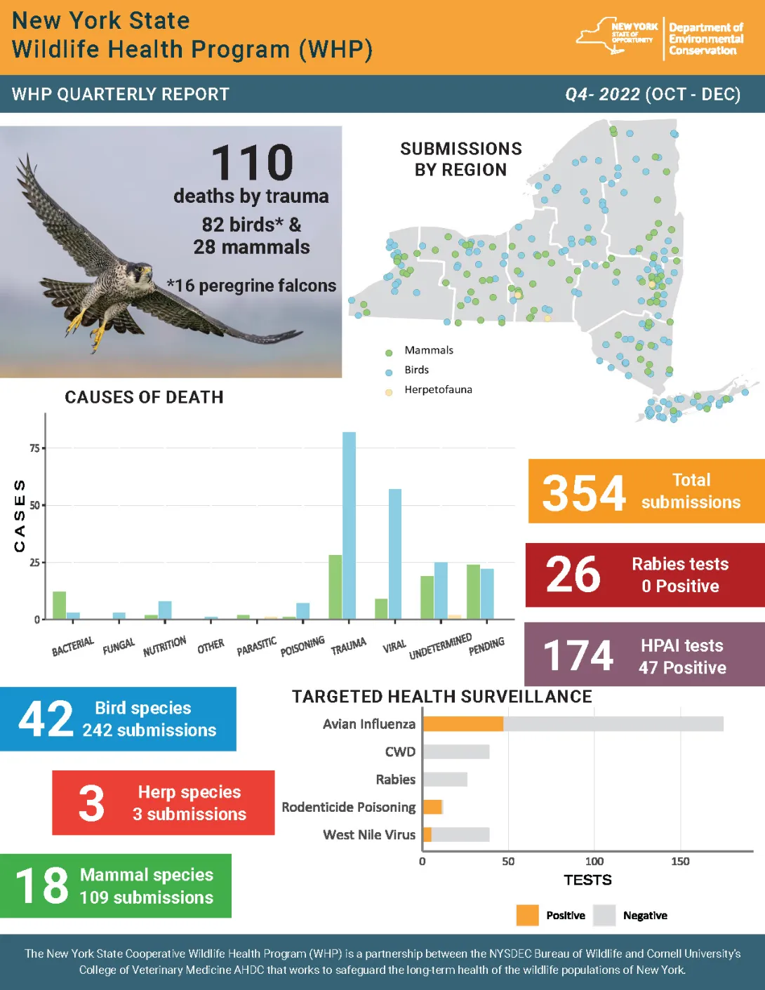 Thumbnail of NYS WHP Quarterly Report Q4 2022