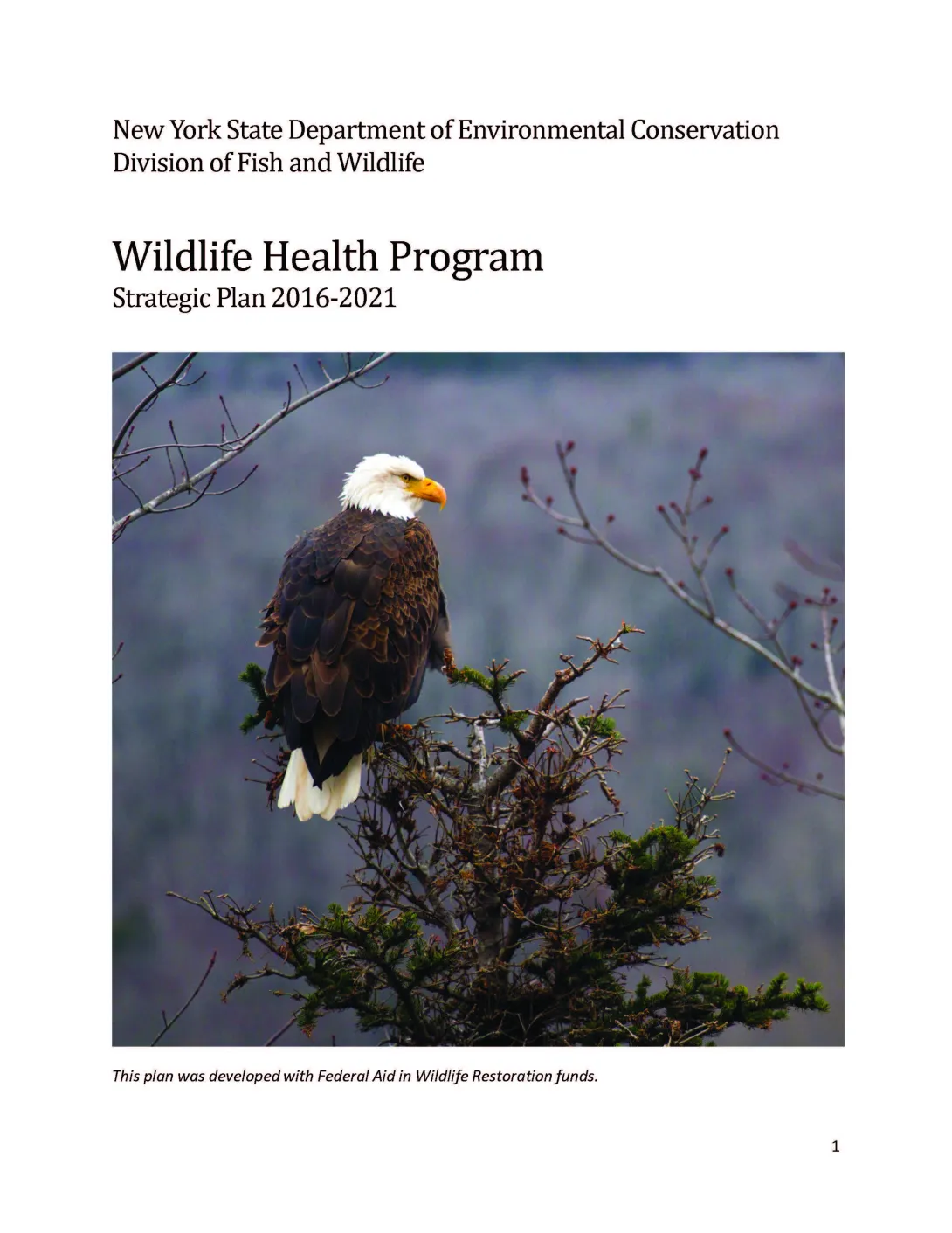Thumbnail of NYS WHP Strategic Plan 2016-2021