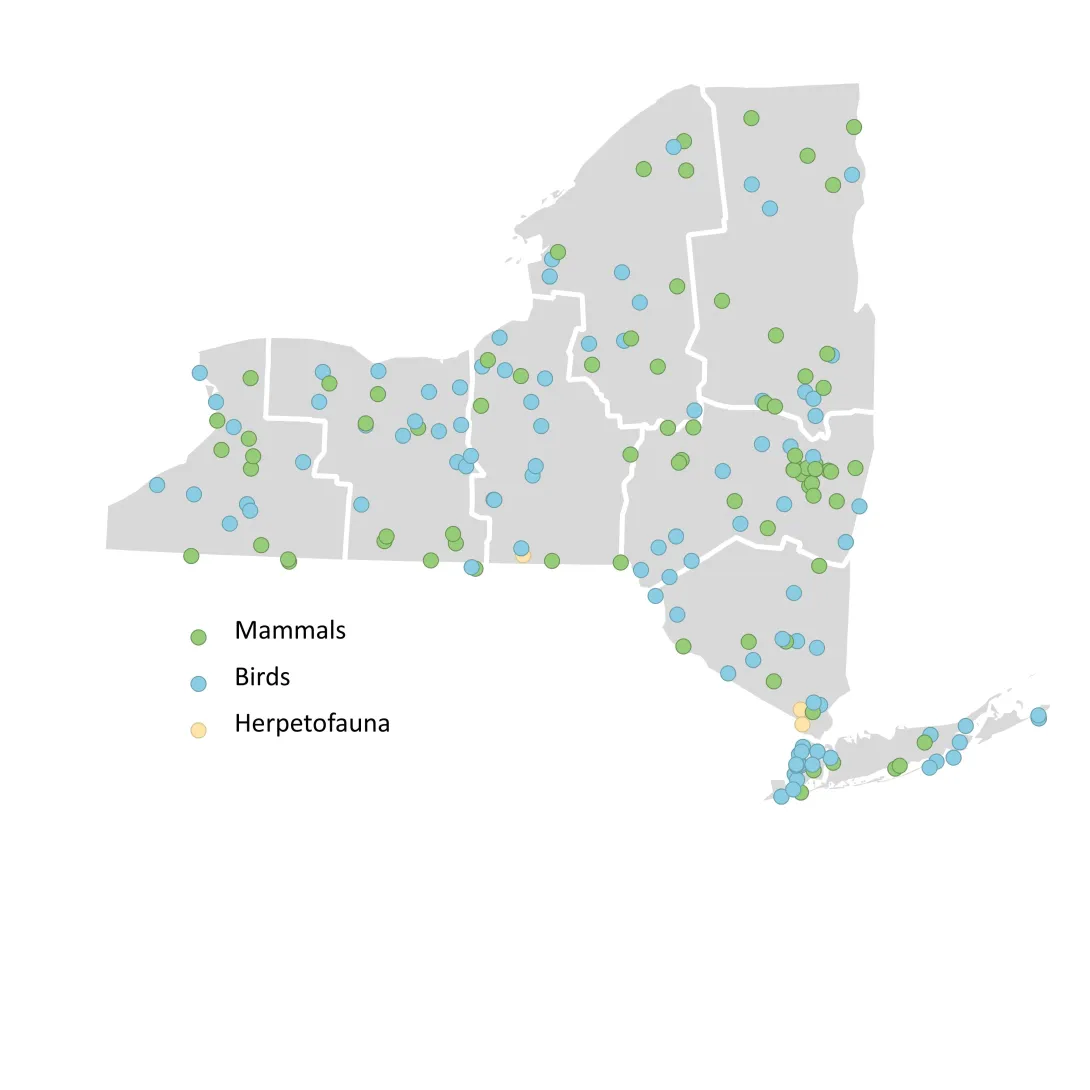 map of wildlife cases 2024 Q4
