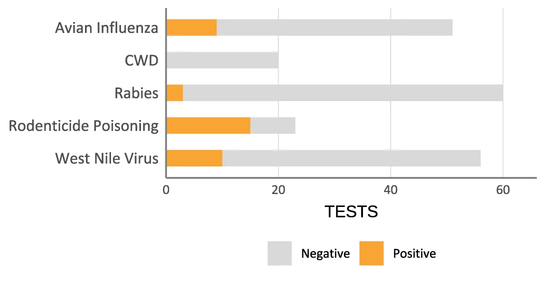 bar chart of targeted testing results