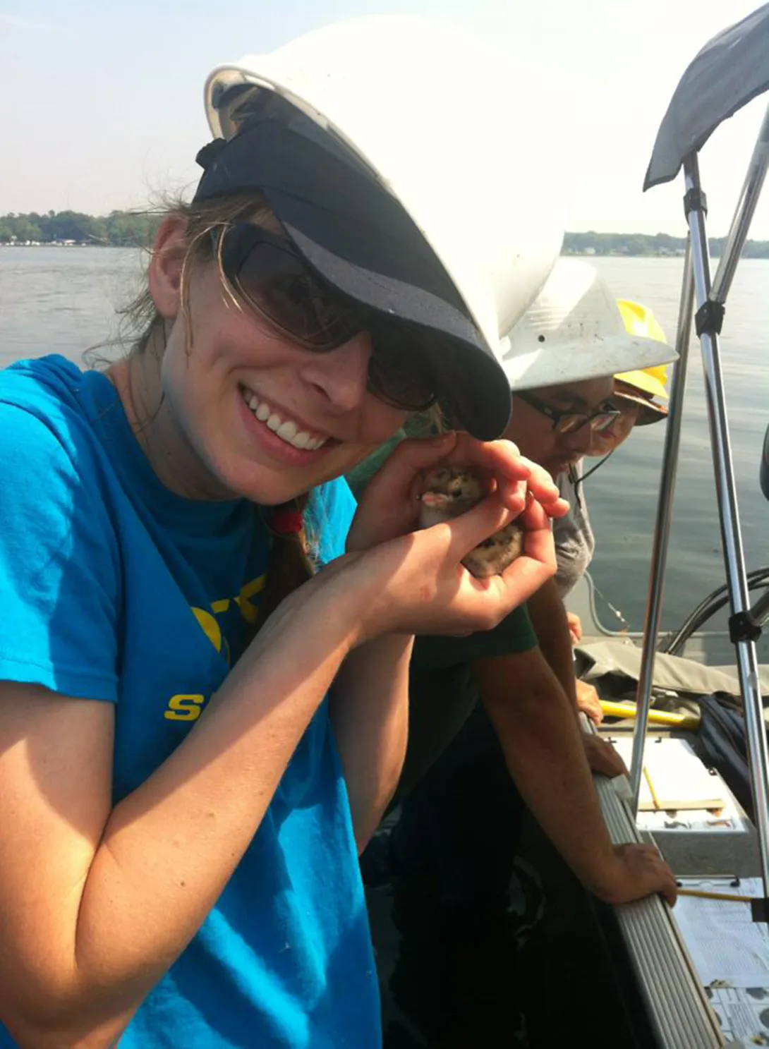 Kailey on a common tern population survey