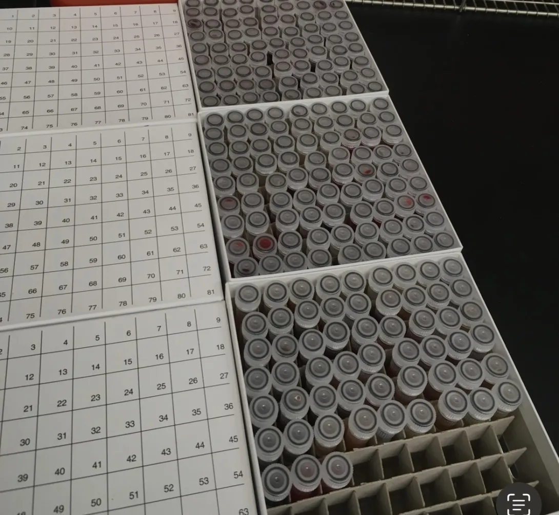 Research project blood samples that need prep and organization for testing and/or storage in our freezer sample archive.