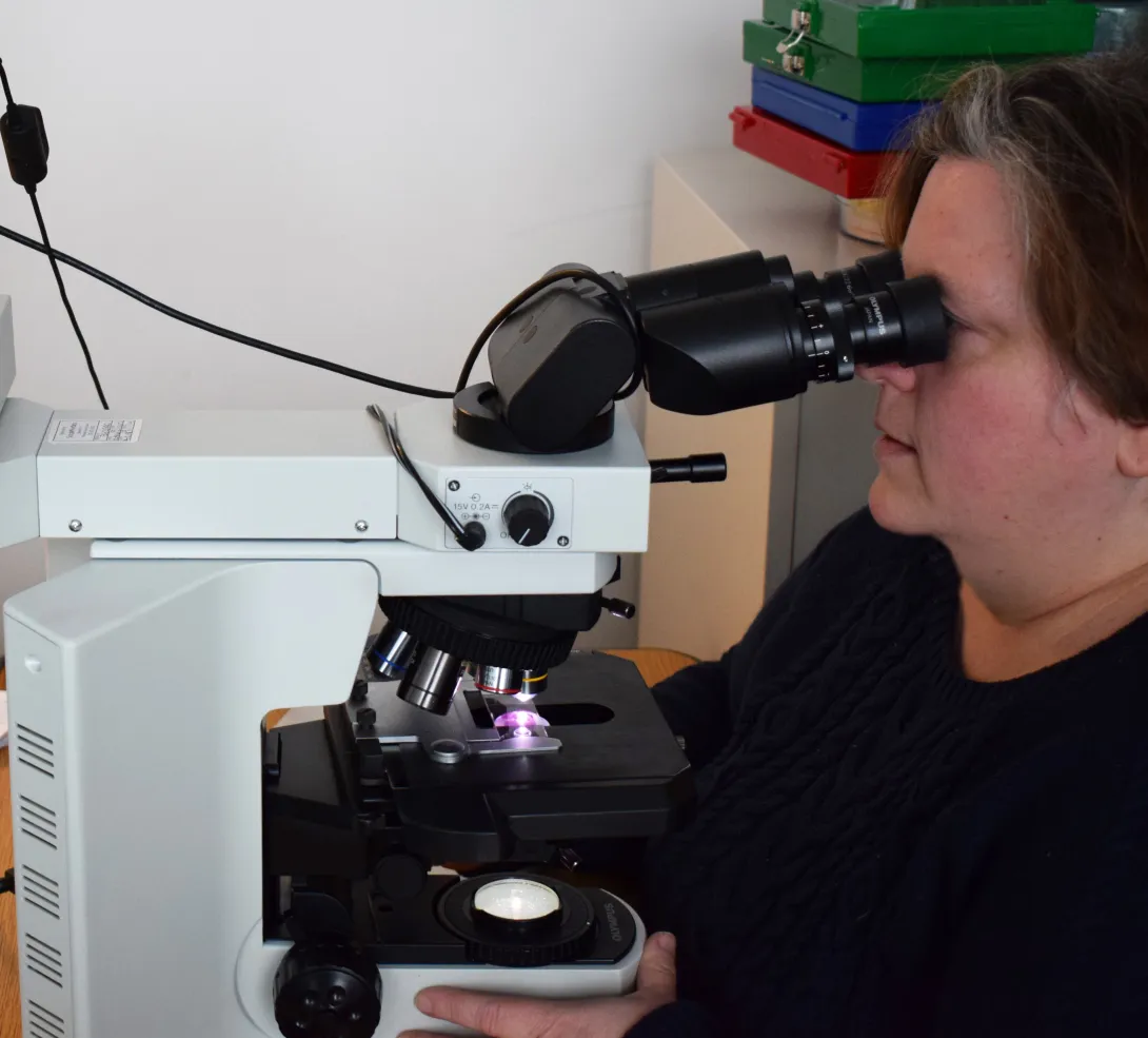 Dr Buckles at the scope