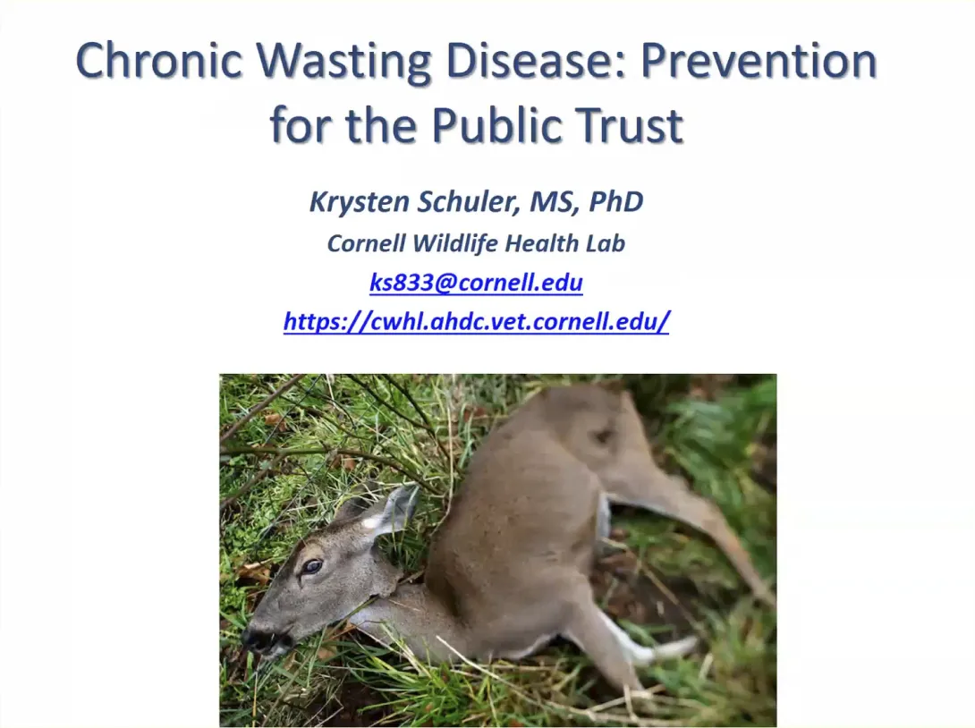 Thumbnail of CWD Public Trust title slide