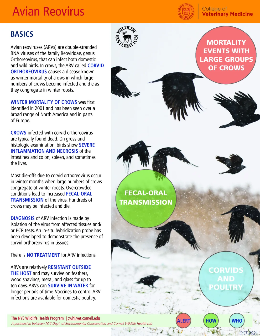 Thumbnail of fact sheet; click on image to download PDF