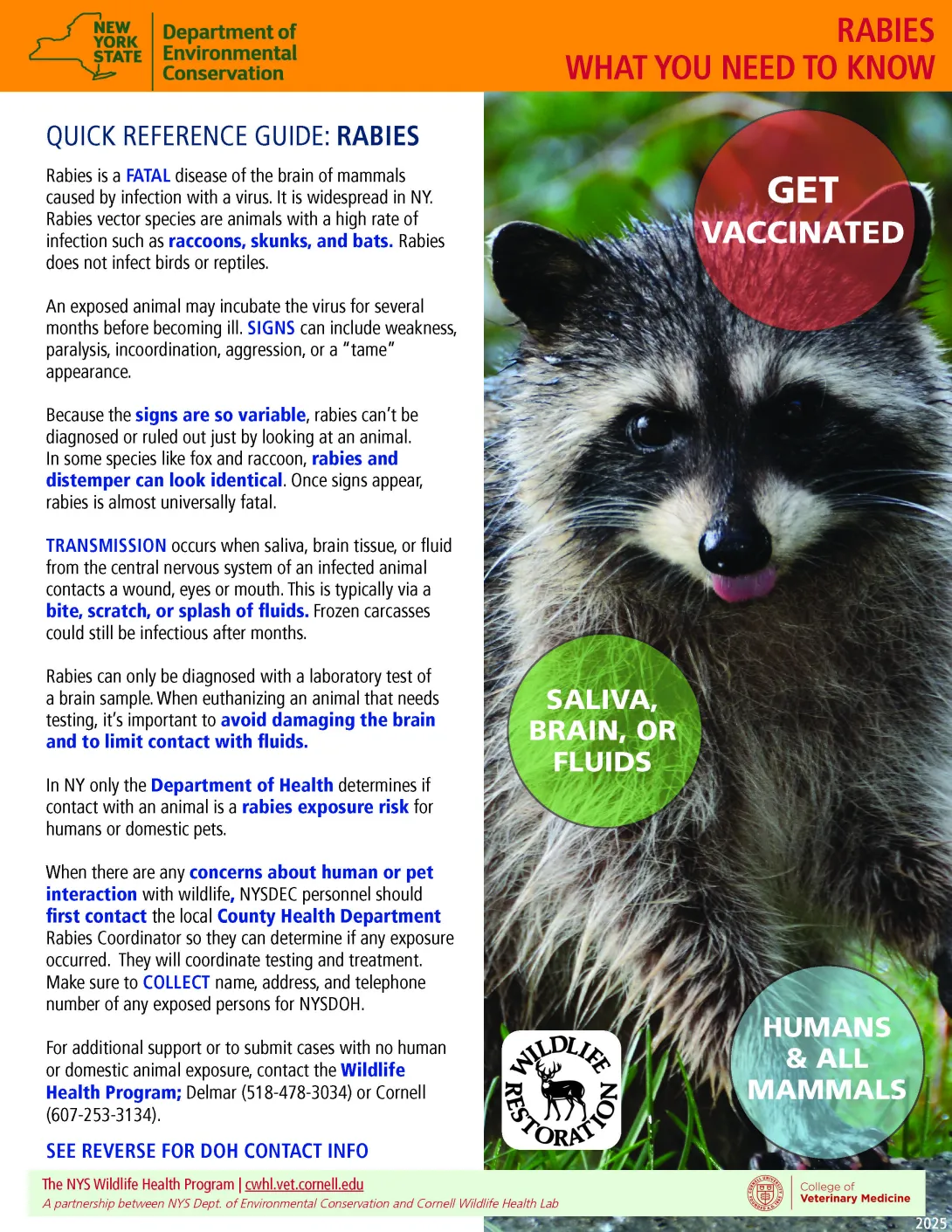 Thumbnail of fact sheet; click on image to download PDF