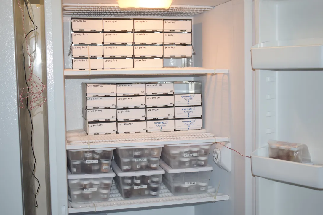 Tissues, lymph nodes and other samples from wildlife species in a minus 80 freezer