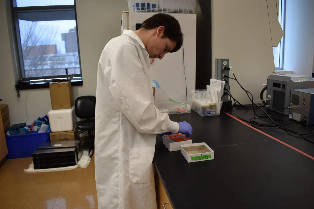 David in the lab, preparing to pull samples