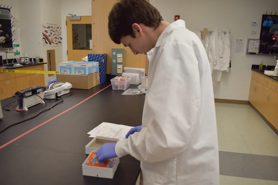 David in the wildlife lab pulling serum samples from the freezer for diagnostic testing.