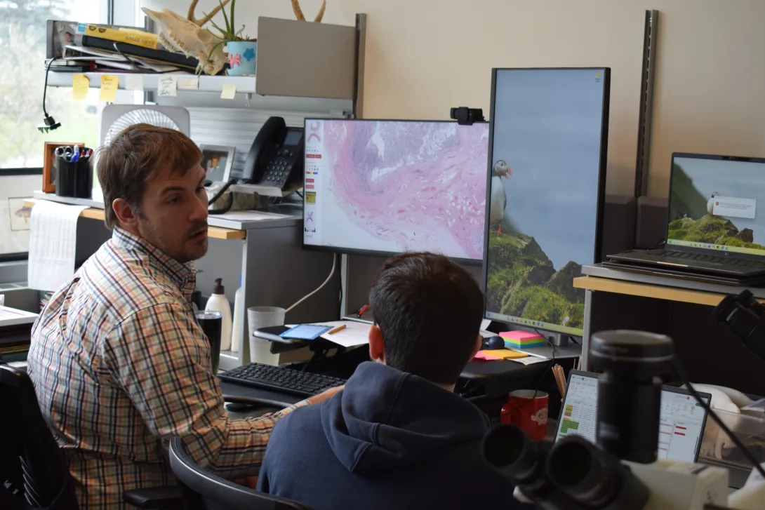 Dr. Hitchener discussing a histopathology slide with an anatomic pathology resident.
