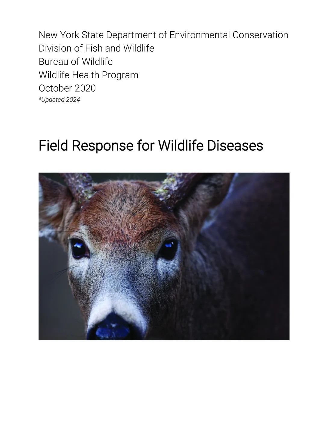 Thumbnail of guidelines; click on image to download PDF
