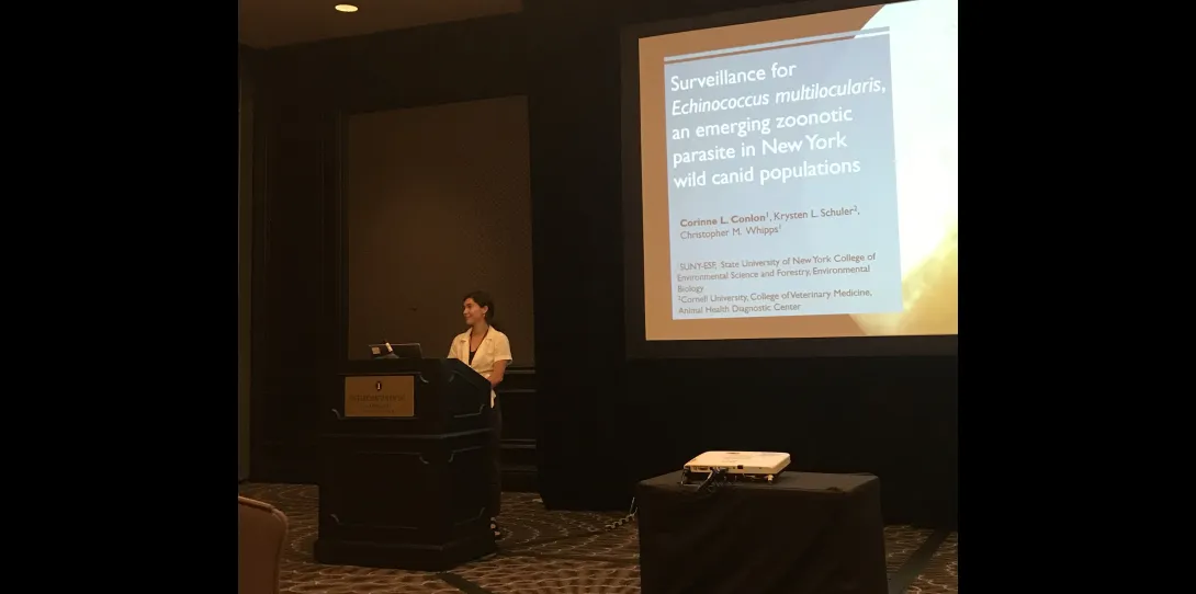 Cori presented her research at the annual meeting of the American Society of Parasitologists in July 2023