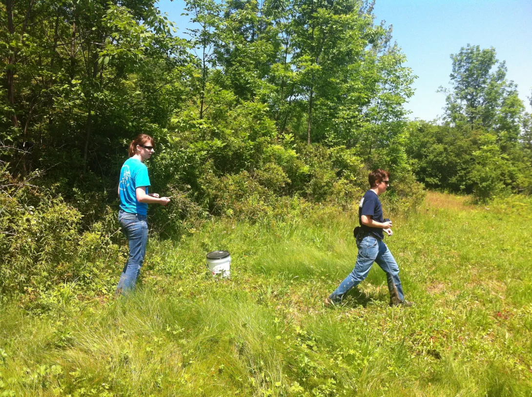 In the field with the USDA, tracking down feral hogs