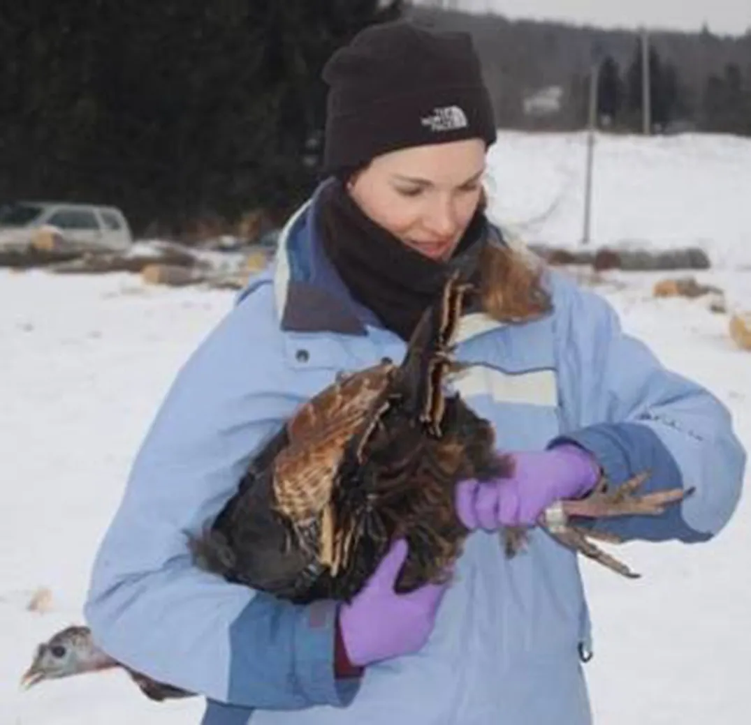 Katrina examining a wild turkey's leg in the field