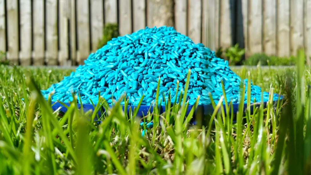 Pelleted rodenticide, Bromadiolone - the bright colors and small shape could be mistaken for candy by small children