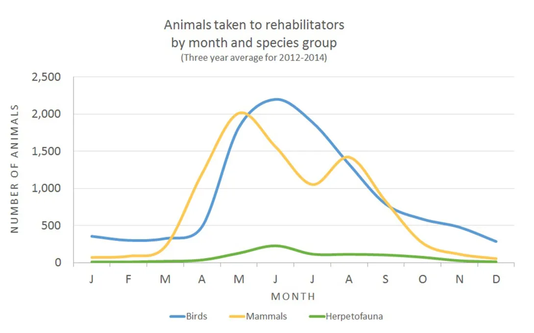 This graph shows average numbers of birds, mammals, and herpetofauna (reptiles and amphibians) brought to wildlife rehabilitators each month for the years 2012 through 2014.
