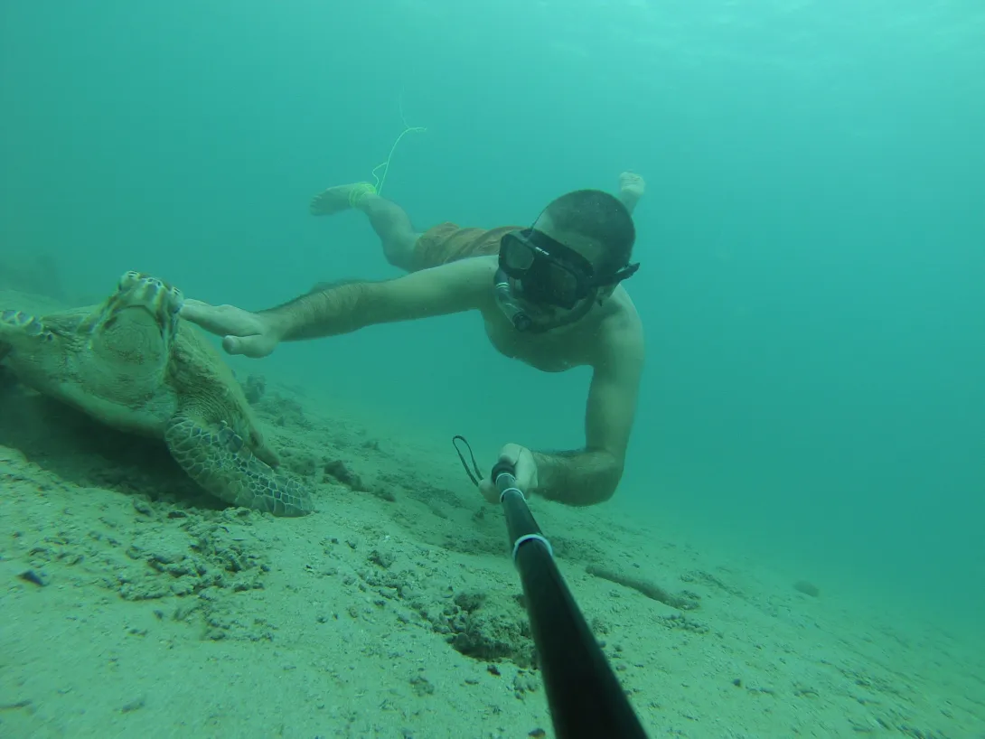 Snorkeler chasing a sea turtle for the perfect selfie