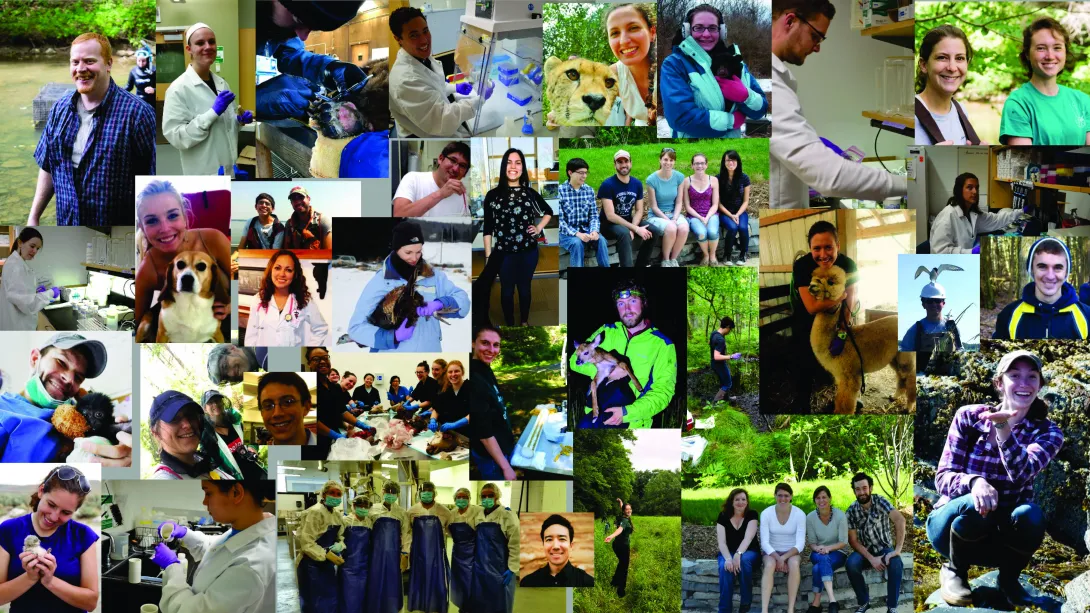 Collage of all students