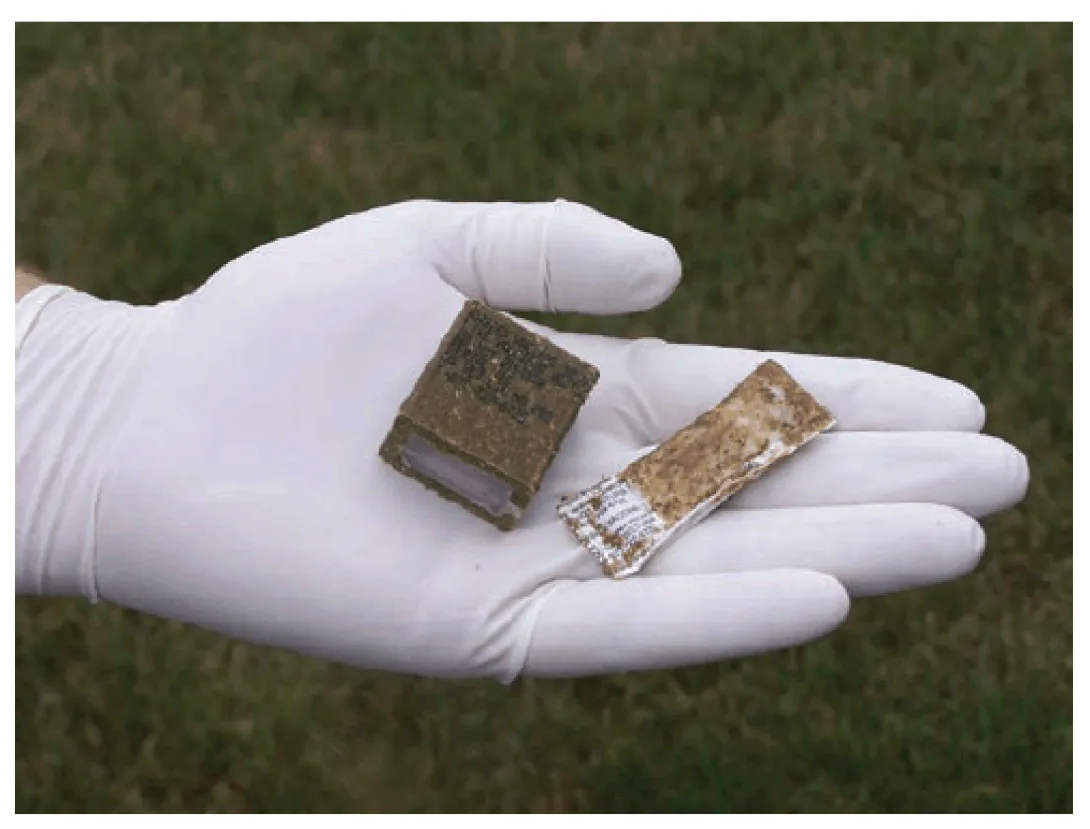 plastic pouch with rabies vaccine inside