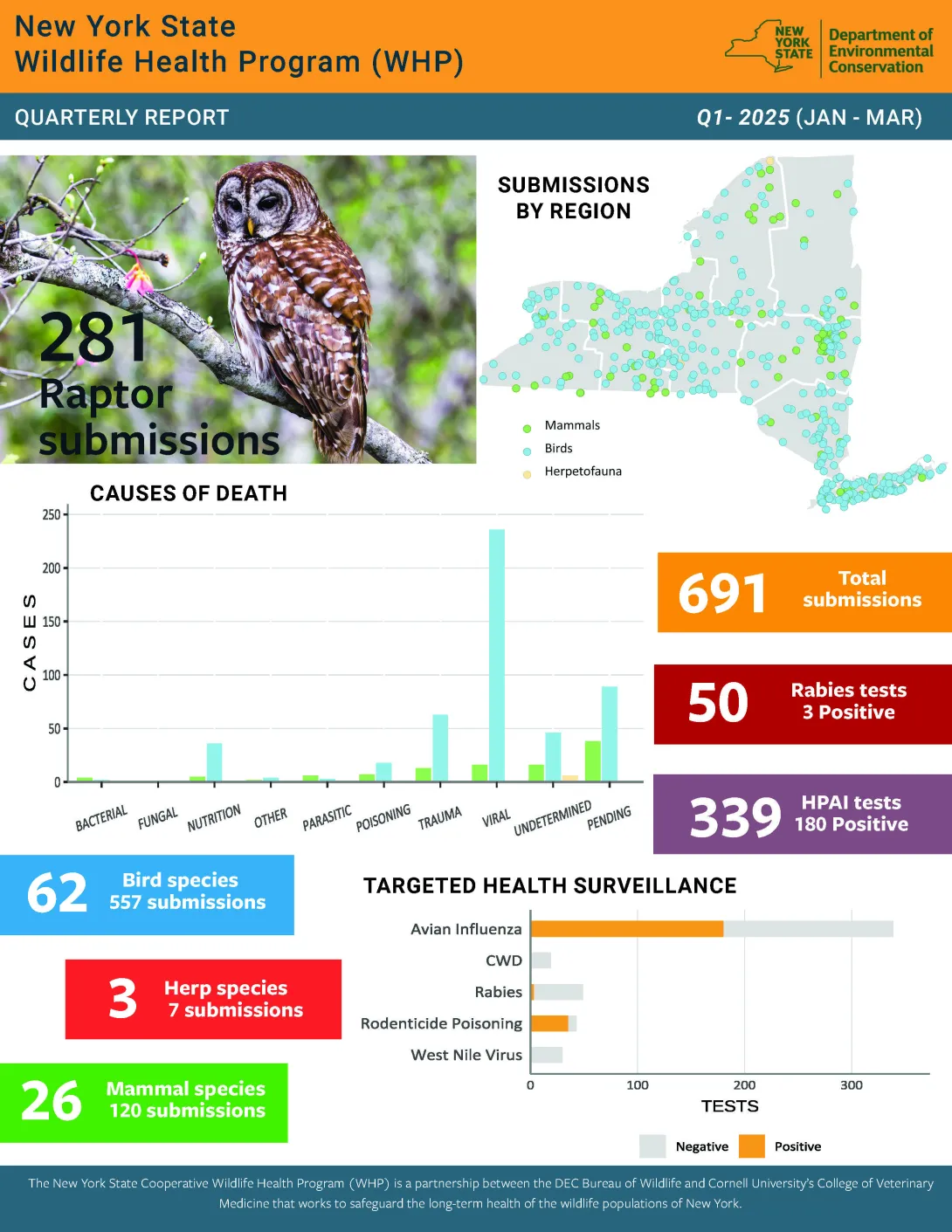 Thumbnail of NYS WHP Quarterly Report Q1 2025