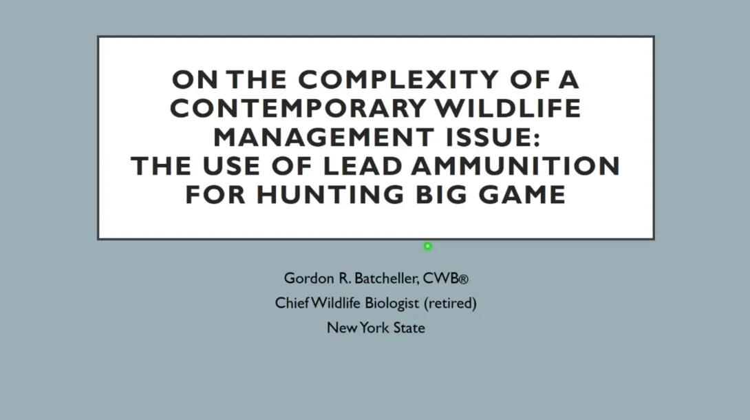 Thumbnail of Lead Ammunition Hunting title slide