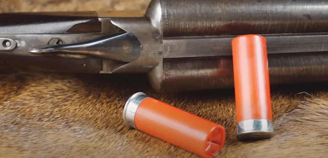 Shotgun shells and shotgun
