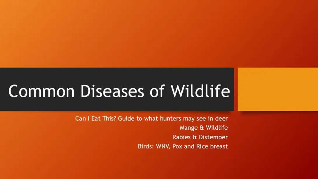 Thumbnail of Common Diseases title slide