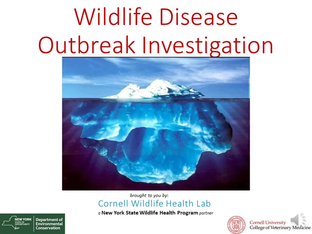Thumbnail of Outbreak Investigation title slide
