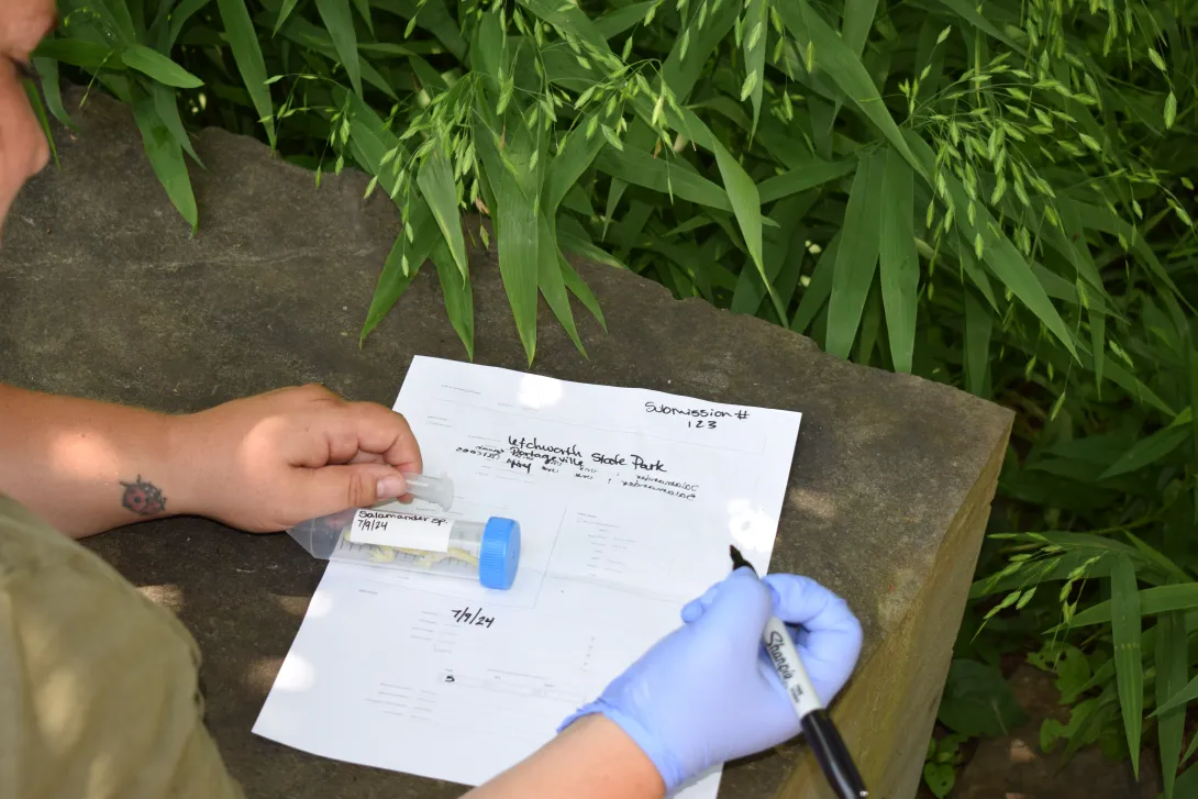 filling out paperwork