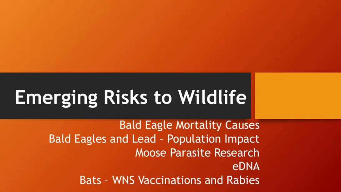 Thumbnail of Emerging Risks title slide