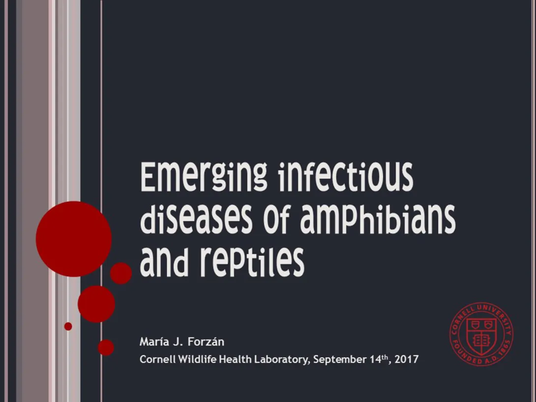 Thumbnail of Emerging ID in Herps title slide
