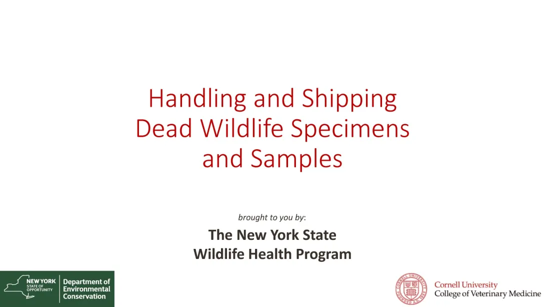 Thumbnail of Handling and Shipping Specimens title slide