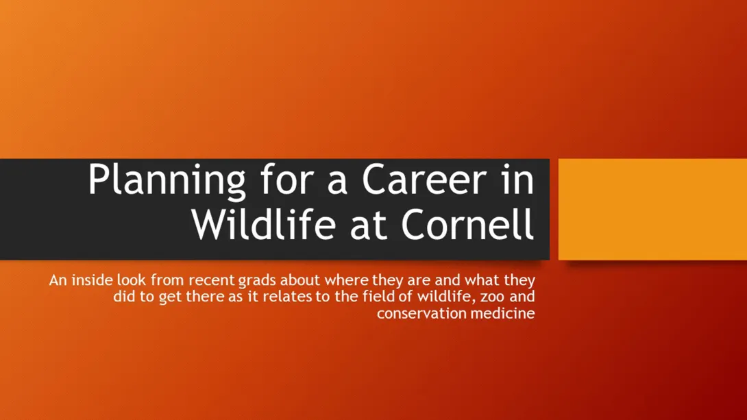 Thumbnail of Career Planning title slide