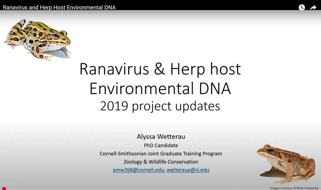 Thumbnail of Ranavirus eDNA title slide
