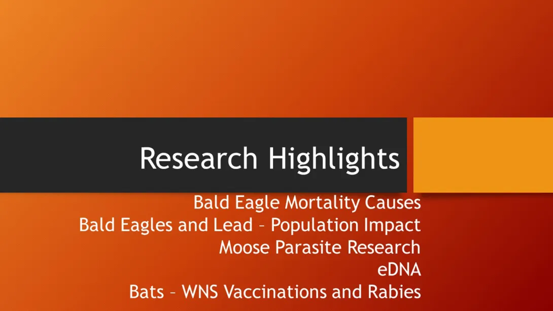 Thumbnail of Research Updates title slide