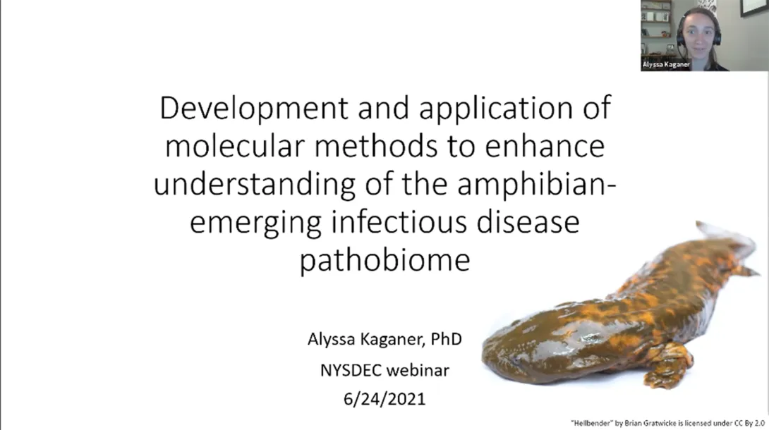 Thumbnail of Molecular Methods title slide