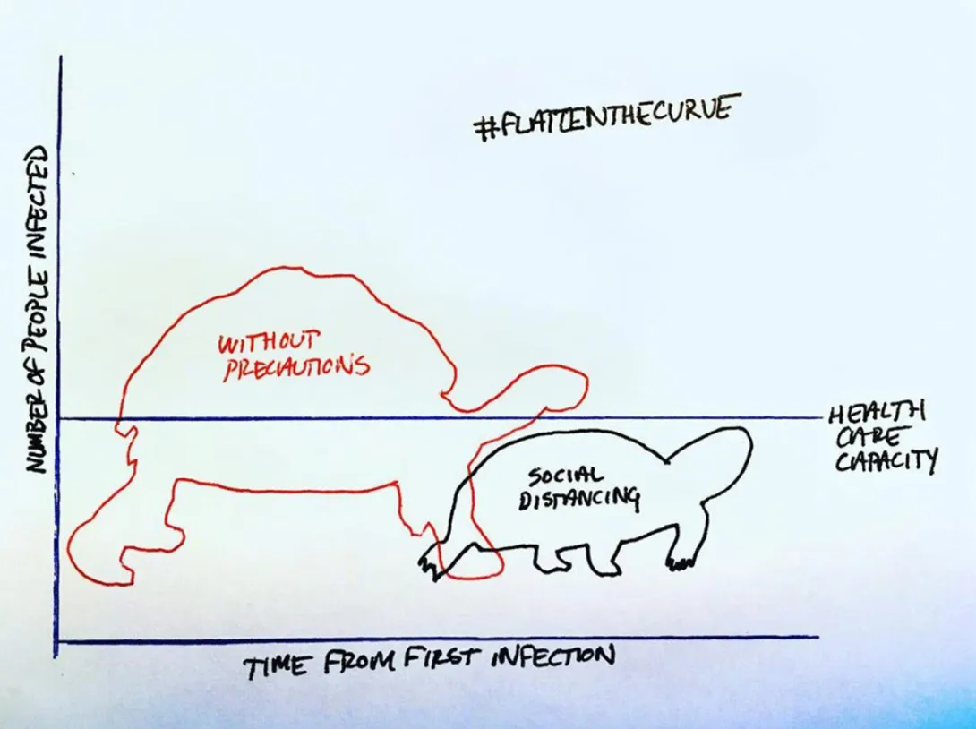 hand-drawn graph using turtle shapes