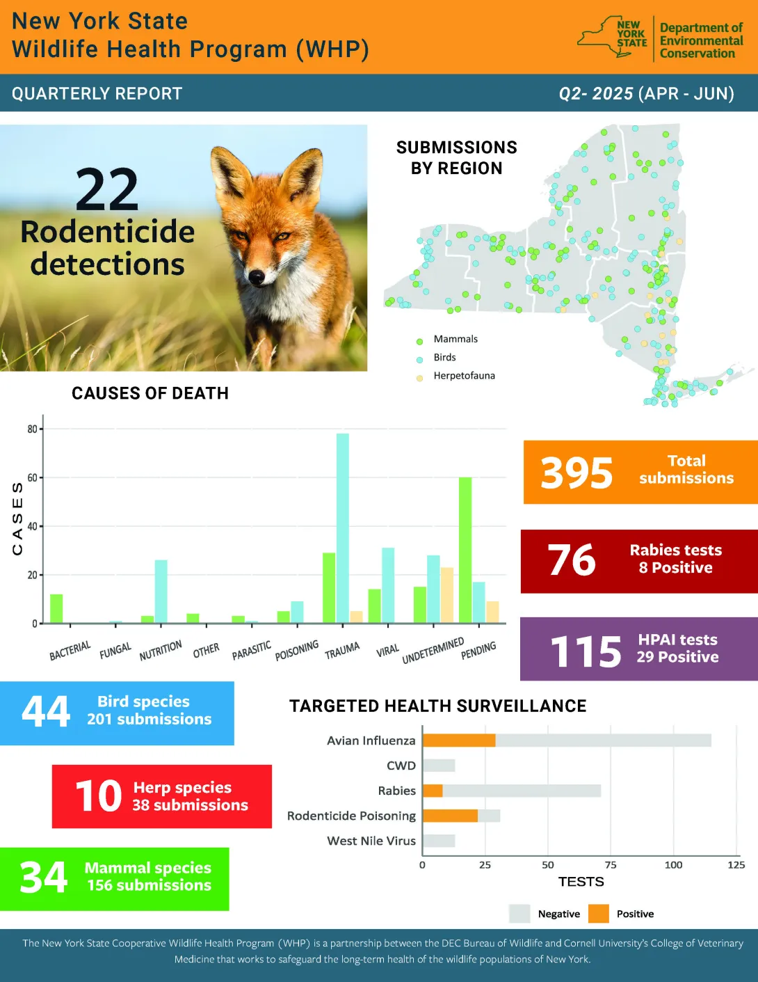 Thumbnail of report