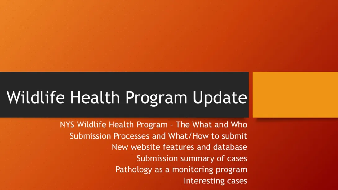 Thumbnail of WHP Update title slide