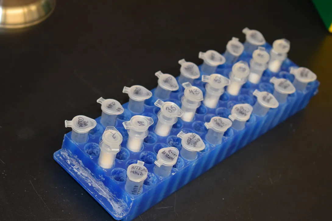 tray of tubes for testing