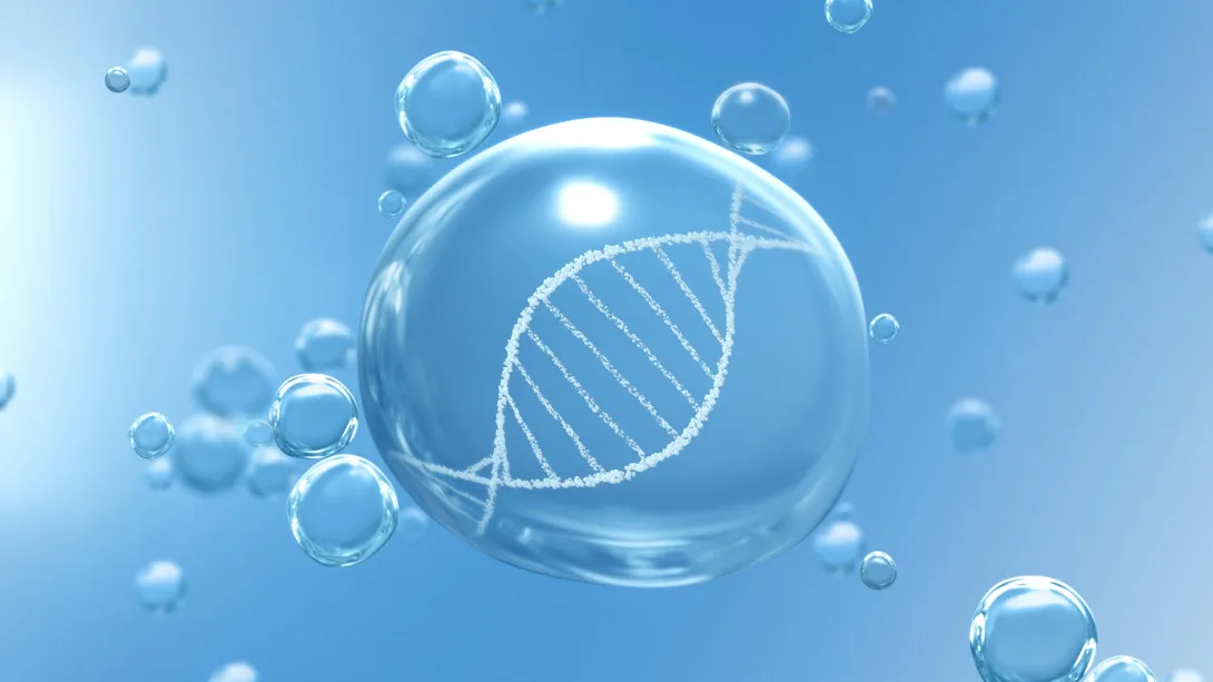DNA helix inside water droplet