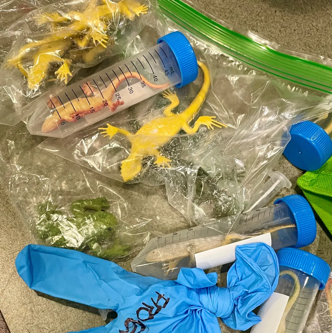 Mock investigation sample collection