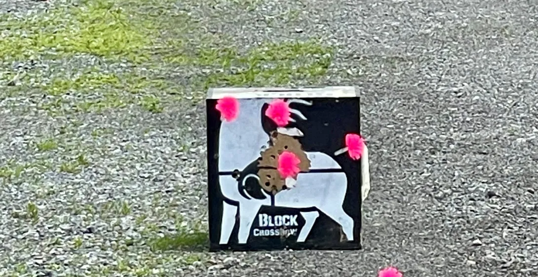 training target with darts in it