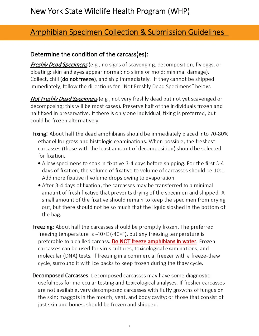 Amphibian Specimen Guidelines 2024 document thumbnail