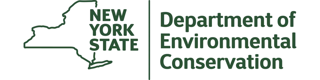 DEC logo