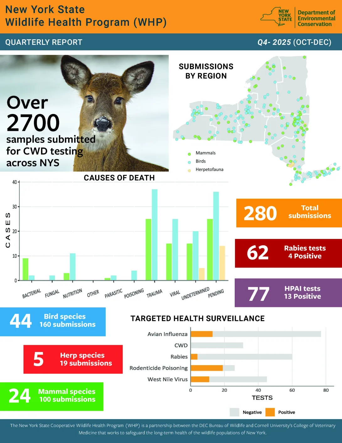 Thumbnail of Q4 2025 WHP Report