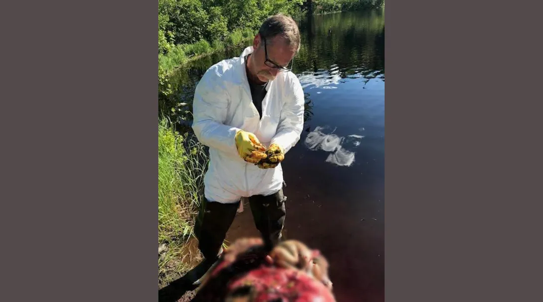 Kevin performing a field necropsy on a moose